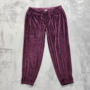 Joyspun Pants Womens XL Purple Velour Velvet Jogger Lounge Casual Pajama Cozy